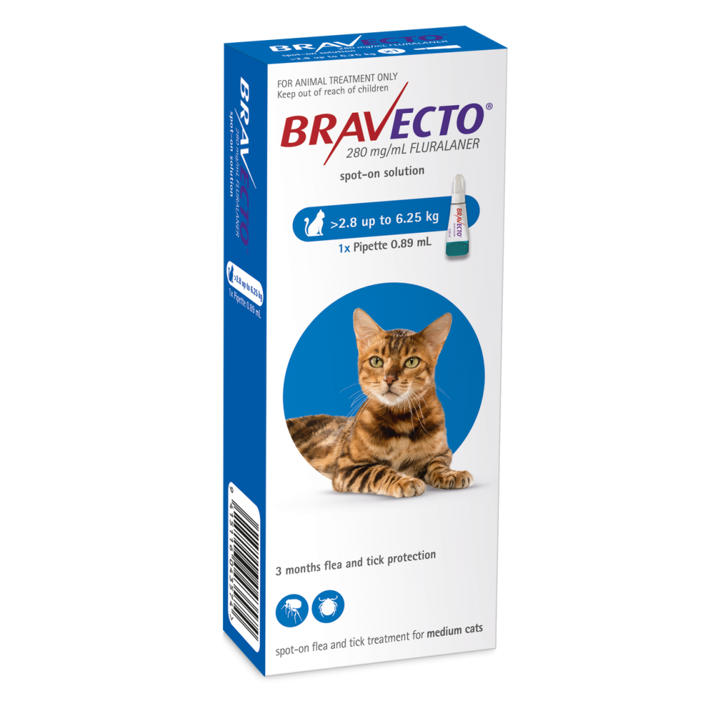 Bravecto Cat Flea Treatment SpotOn Small Cat 2.8 to 6.25kg 3 Months