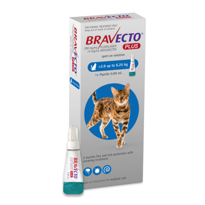 Bravecto PLUS Spot On Cat Flea Treatment WORM Treatment 2.8 - 6.25kg - 3 Months