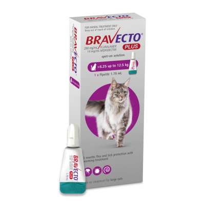 Bravecto PLUS Spot On Cat Flea Treatment WORM Treatment 6.25 - 12.5KG - 3 Months