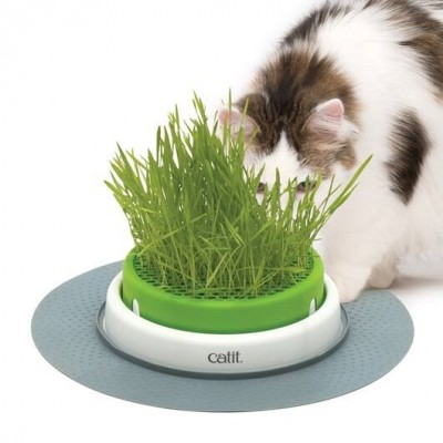 Catit 2.0 Grass Planter Cat Toy (Seeds and Soil No include)