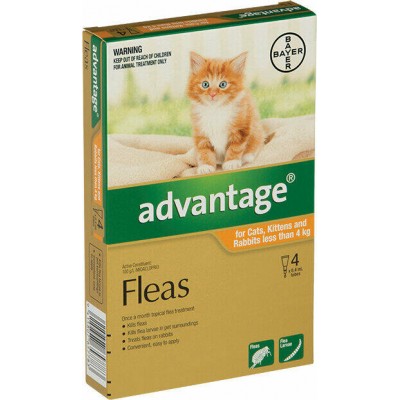 Advantage Flea Treatment For Cats & Kittens Rabbits Under 4kg 4PK