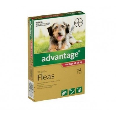 Advantage Flea Treatment For Dogs 10-25kg 4PK