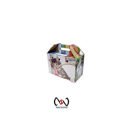 Petware Cardboard  Cat Carry Box