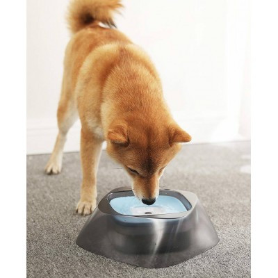 Dog Bowl Cat Water Slow Drinking Bowl Anti-Spill 1400ml