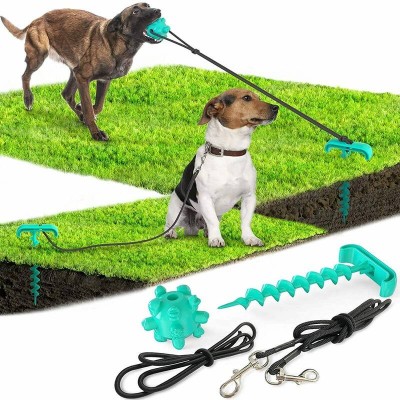 2 in 1 Outdoor Dog Toys with Tie Out Stake