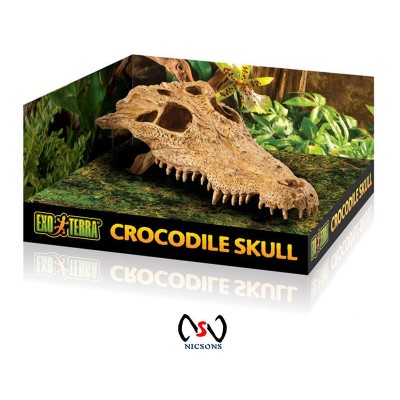 Exo Terra Reptile Decoration Crocodile Skull