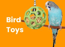 Bird Toys